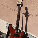 WASHBURN N 2