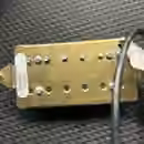 DiMarzio The Tone Zone Zebra