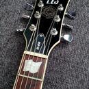 ESP LTD EC 256 DBSB