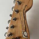 Fernandes Stone logo strat