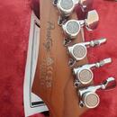 Prodam profi nastroj Ibanez MM1-TAB Martin Miller signature.
