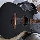 Fender Stratacoustic