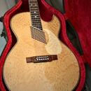 Washburn EA36 (1995) Robert Plant 