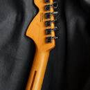 Fender American Pro II Telecaster Deluxe