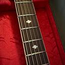 Washburn EA36 (1995) Robert Plant 