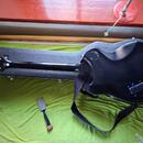 Epiphone Prophecy