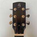 Harley Benton Hybrid Steel