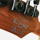 Ibanez RGEW521FM-NTF Exotic Wood – DiMarzio & Roasted Maple