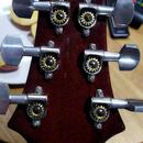 PRS USA Custom 24 Orange Tiger 