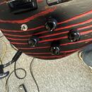 Spector NS Pulse Cinder Red + fishman fluence