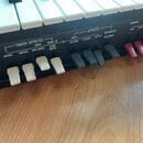 Teisco (Kawai) 100p