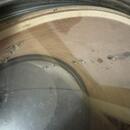 13” tom Pearl