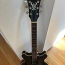 Ibanez AS53-TKF