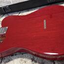 Fender Limited Edition American Pro Mahogany Telecaster DLX