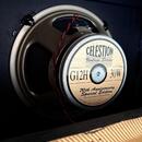 Peavey 112-C Tweed + Celestion Vintage 30 (70th Anniversary)