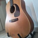 Seagull S6 CEDAR