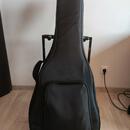 Guild F-250CE Deluxe