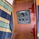 Mahagonová elektroakustika HB 500 TL SLEVA !