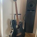 Elektroakustická kytara Ibanez