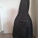 Seagull S6 CEDAR