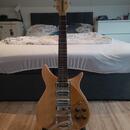 Rickenbacker 325