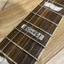 ESP 401 Seymour Duncan sh4 sh2 