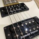 ESP 401 Seymour Duncan sh4 sh2 