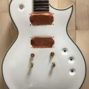 ESP 401 Seymour Duncan sh4 sh2 