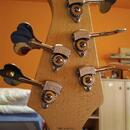 Lakland USA Dual J 5