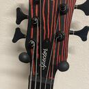 Spector NS Pulse Cinder Red + fishman fluence