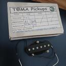 Telecaster ARIA Neshville 