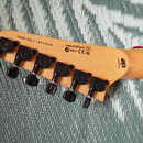 kytara ESP