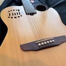 Godin MultiAC Steel