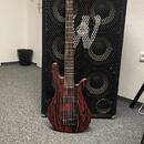 Spector NS Pulse Cinder Red + fishman fluence