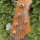 Ernie Ball Trans Buttercream Music Man 2017 30th anniversary