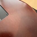 Godin MultiAC Steel