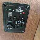 Sigma guitars dmel