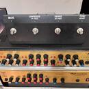 EDEN WP100 Navigator+footswitch