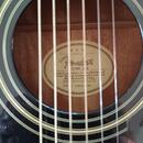Elektroakustická kytara Fender John5 signature