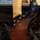Lakland USA Dual J 5