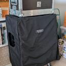 MESA Boogie Recto-Verb 25