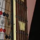 Epiphone Les Paul Joe Perry Signature 2004 - Boneyard