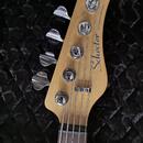 Baskytara 5 strun SCHECTER 