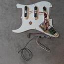 EMG DG-20