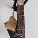Seagull Performer CW HG Presys II