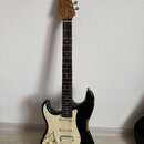HENRY’S LH SNAKE II AGED ST-1L MAMBA
