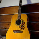 Kytara Blueridge „George Shuffler“ BR-4060 (historická řada)