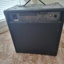 Randall RX 25RM