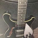 Harley Benton RB-612BK