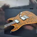 Tom Anderson Cobra S Short Scale. Koupím !!!!!!!